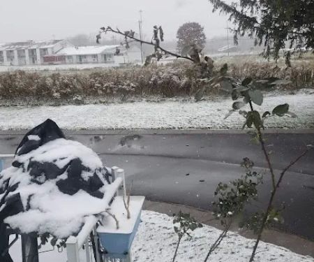 Friendly Village-Manchester Pk