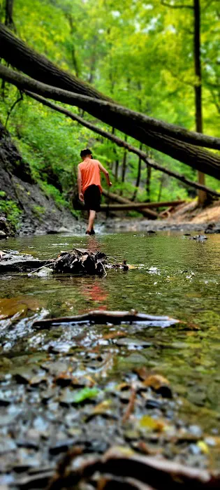 Canandaigua Picture 1