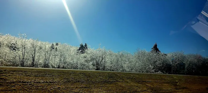 Canandaigua Picture 3