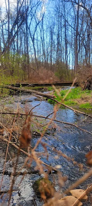 Canandaigua Picture 9