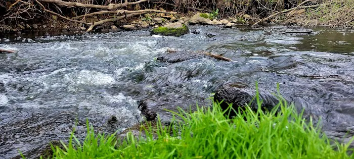 Canandaigua Picture 7