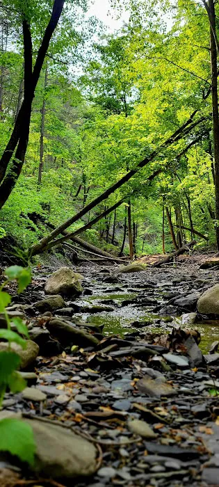 Canandaigua Picture 10