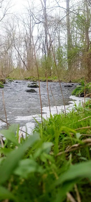 Canandaigua Picture 6