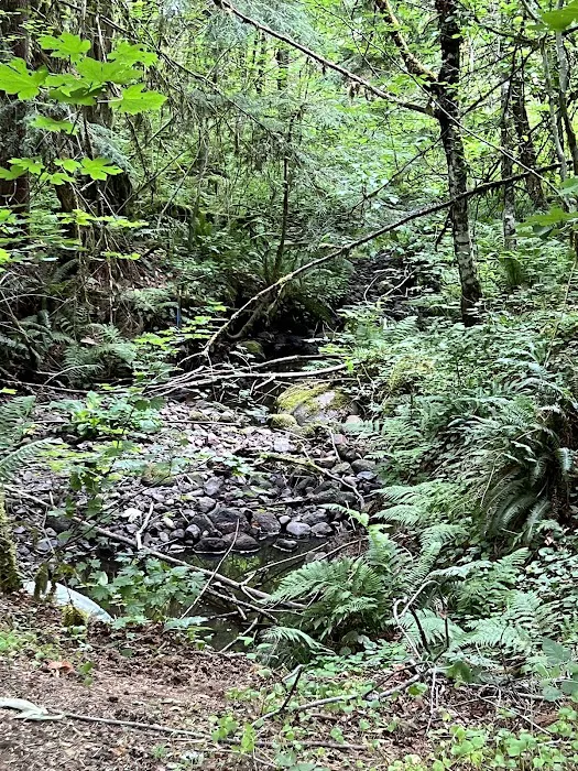 Doug Fir Glen Picture 2