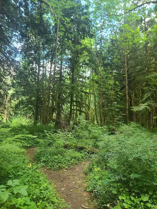 Doug Fir Glen Picture 3