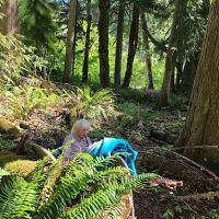 Fernwood Cabin ico