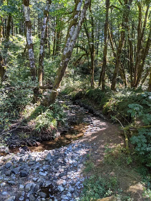 Jones Creek Campground Picture 5