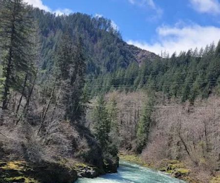 Jordan Creek Camping Site #11