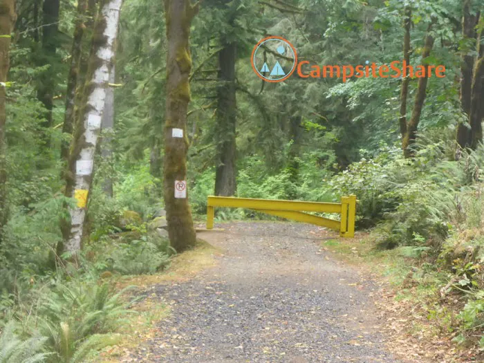 Morrison Eddy Campgrounds Picture 3