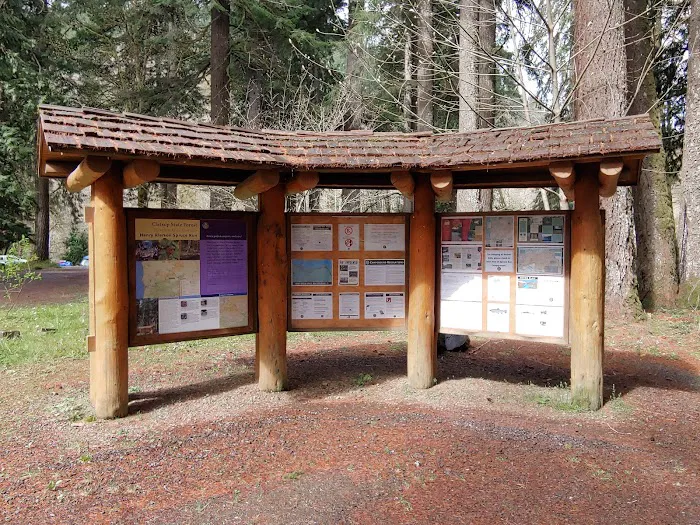 Henry Rierson Spruce Run Campground Picture 5