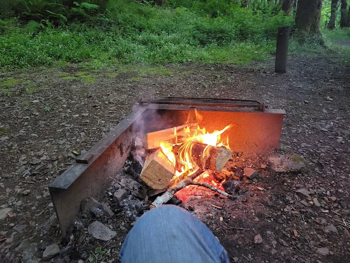 Henry Rierson Spruce Run Campground Picture 1