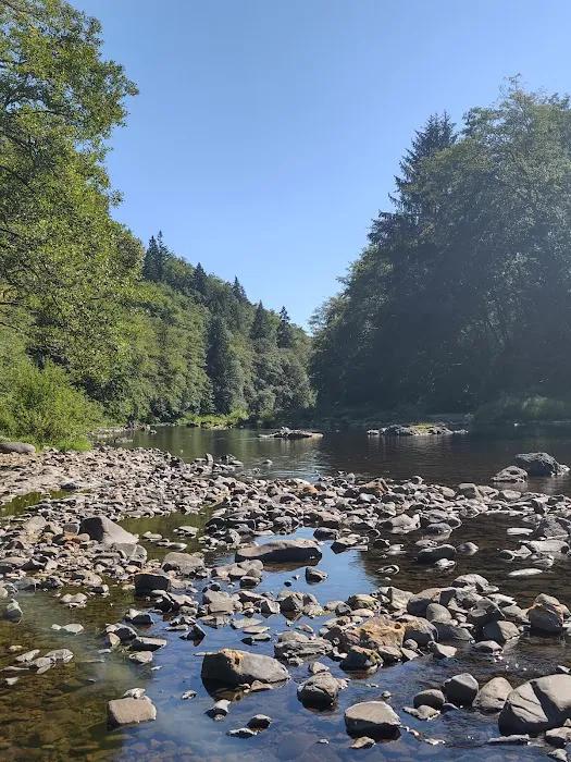 Henry Rierson Spruce Run Campground Picture 9