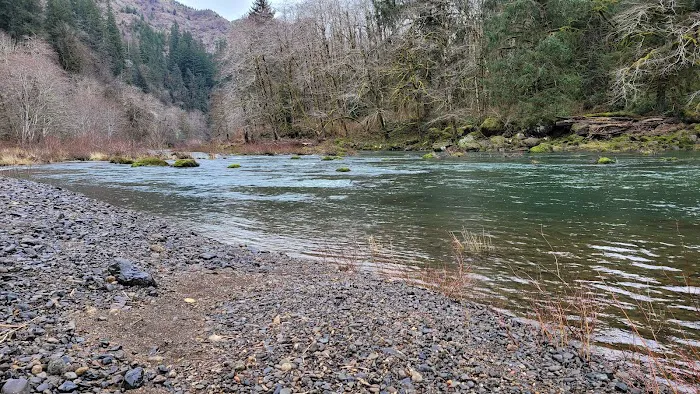 Beaver Eddy Campground Picture 2