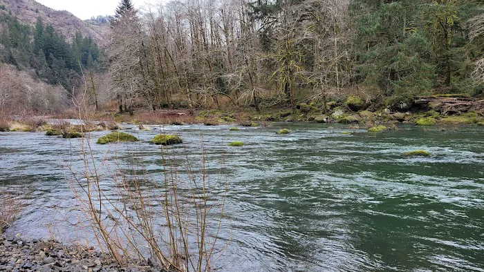 Beaver Eddy Campground Picture 6