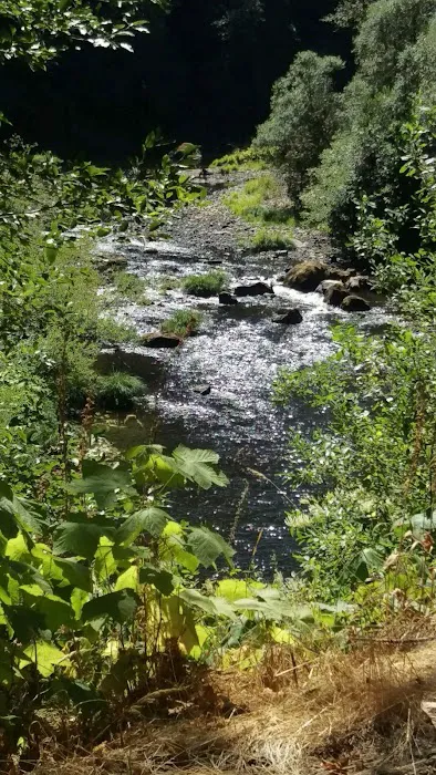 Beaver Eddy Campground Picture 7