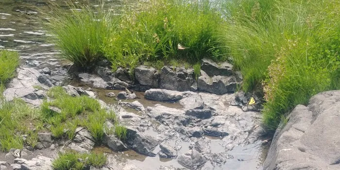 Keenig Creek Campground Picture 6