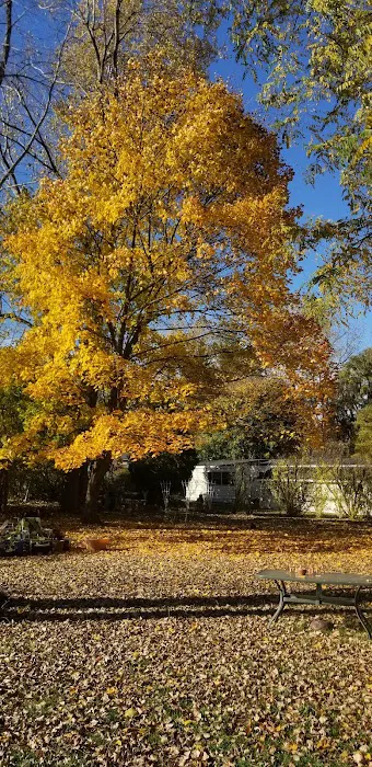 Orchard Grove Village MHP Picture 4