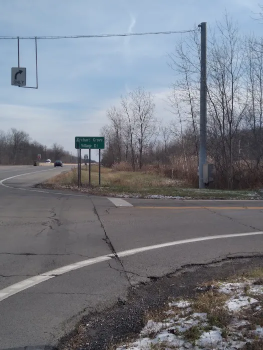 Orchard Grove Village MHP Picture 6