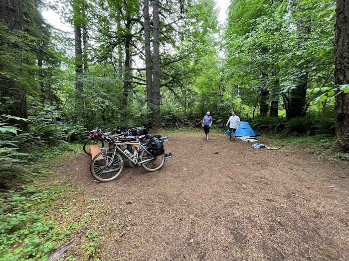 Trask River County Campground Picture 4