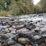 Trask River County Campground