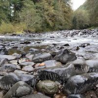 Trask River County Campground ico