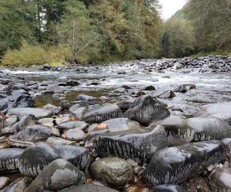 Trask River County Campground