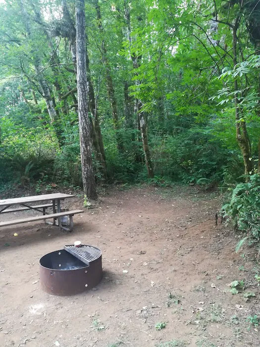 Trask River County Campground Picture 7