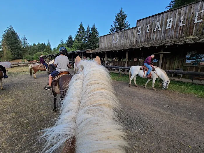 Flying M Ranch Picture 2