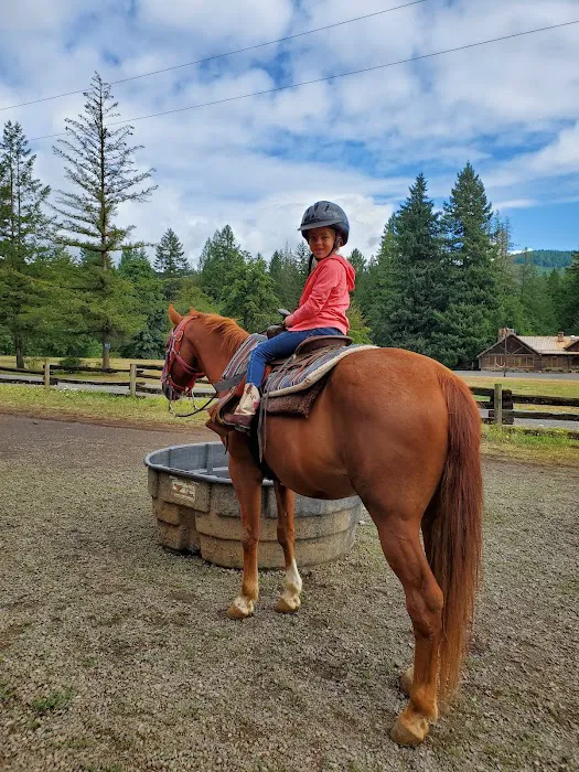 Flying M Ranch Picture 4