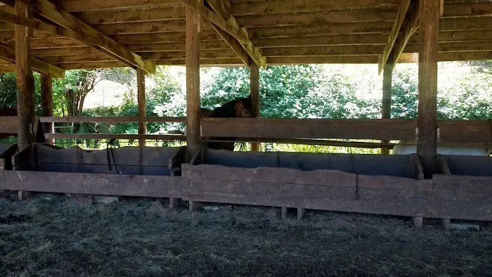 Flying M Ranch Picture 6