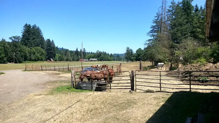 Flying M Ranch Picture 3