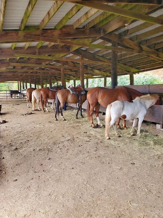 Flying M Ranch Picture 7