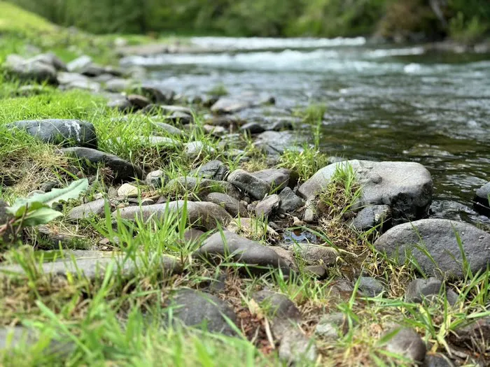 Trask River RV Park Picture 5