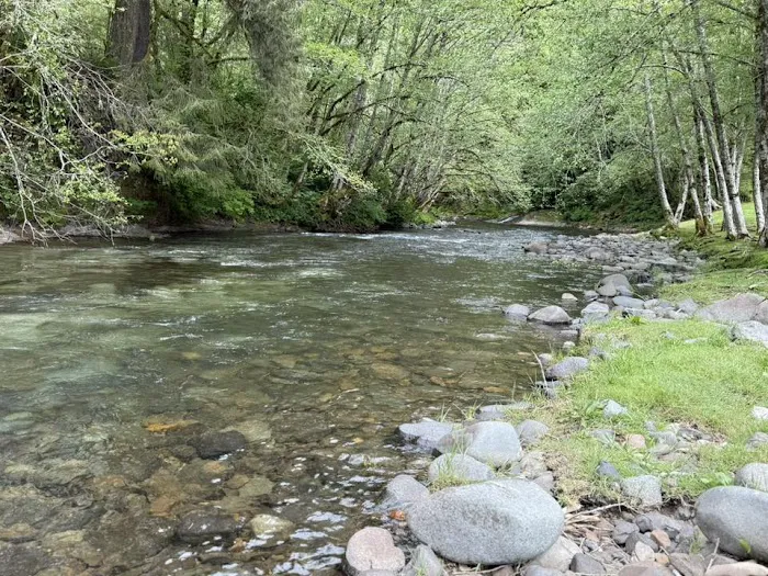 Trask River RV Park Picture 6