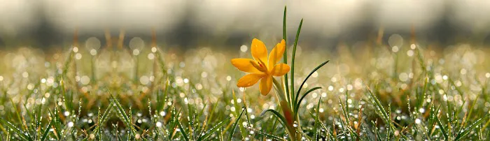 Galvins Manufactured Home Community Picture 2