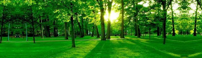 Galvins Manufactured Home Community Picture 6