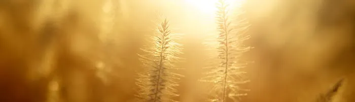 Galvins Manufactured Home Community Picture 4