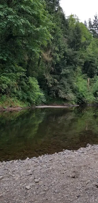 Kilchis River County Campground Picture 4