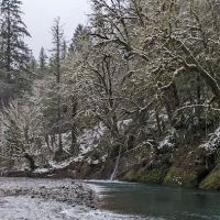 Kilchis River County Campground ico