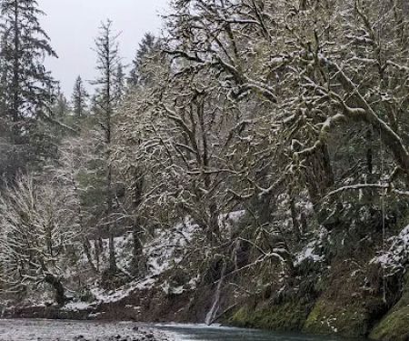 Kilchis River County Campground