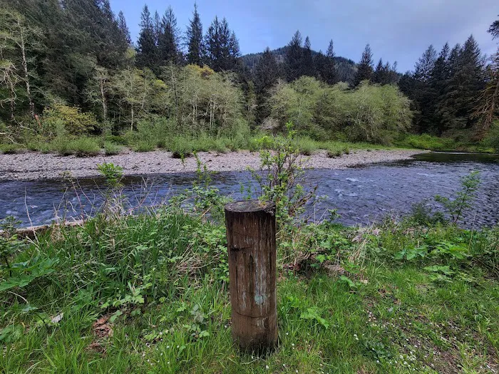 Kilchis River County Campground Picture 5