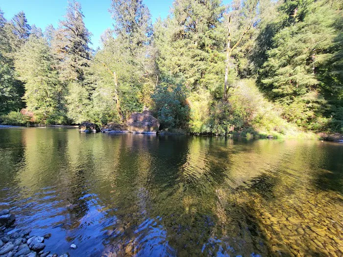 Kilchis River County Campground Picture 6