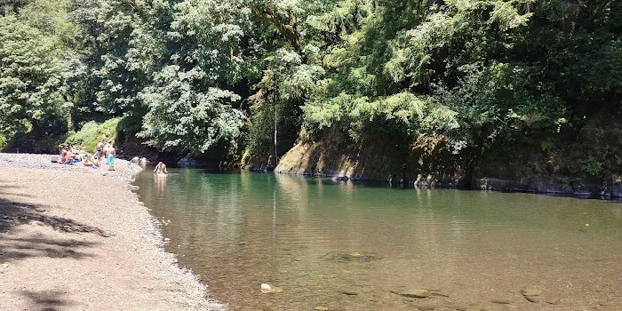 Kilchis River County Campground Picture 7
