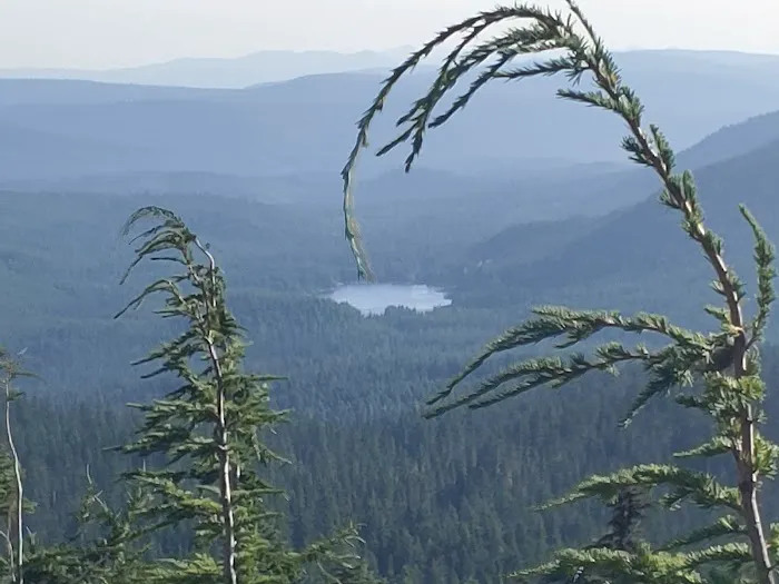 Alpine Campground Picture 6