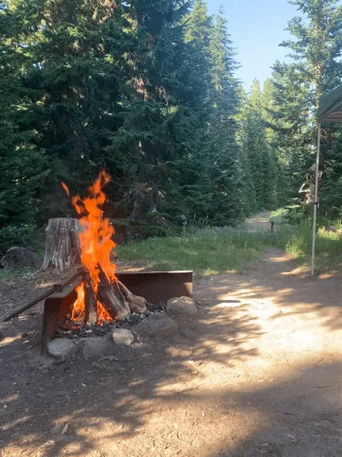 Alpine Campground Picture 4