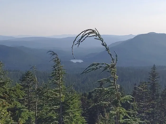 Alpine Campground Picture 10