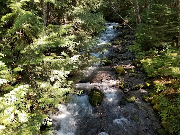 Paradise Trail Christian Camp Picture 4