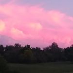 Gypsum Mills Estates