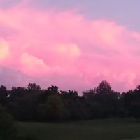 Gypsum Mills Estates ico