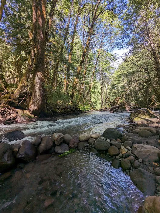 Camp Creek Campground Picture 3